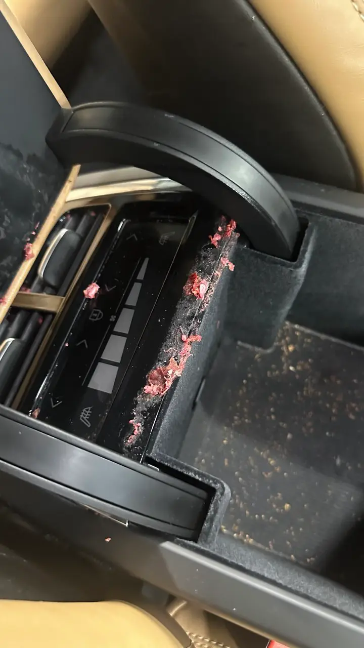 Verschmutzte Lüftungsdüsen im Fond eines Volvo mit Cognac-Leder vor der Reinigung